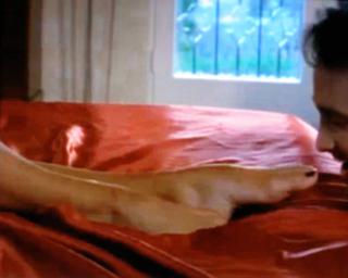 Debbe Dunning feet photo thumbnail