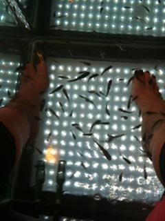 Debbie Flint feet photo 18