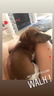Debbie Gibson feet photo thumbnail