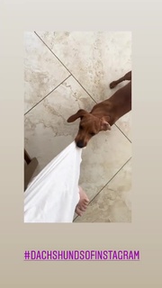 Debbie Gibson feet photo thumbnail
