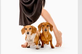 Debbie Gibson feet photo 6