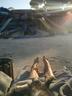 Dee van der Zeeuw feet photo 18