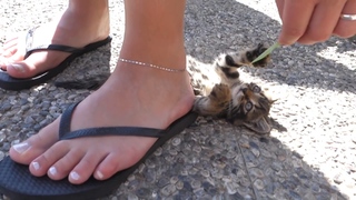 Dee van der Zeeuw feet photo 8