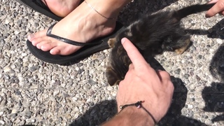 Dee van der Zeeuw feet photo 7