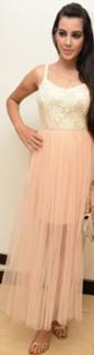 Deeksha Panth feet photo 10