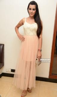 Deeksha Panth feet photo 16