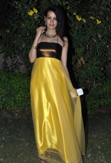 Deeksha Panth feet photo 18
