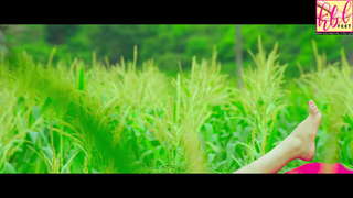 Deeksha Panth feet photo 16