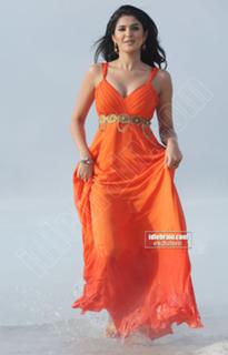 Deeksha Seth feet photo 5