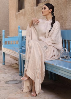 Deema Al Asadi feet photo 17