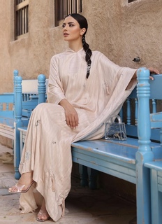 Deema Al Asadi feet photo 16