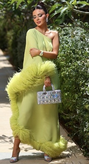 Deema Al Asadi feet photo 18