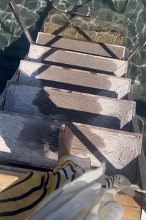 Deema Al Asadi feet photo 9