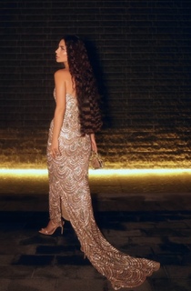 Deema Al Asadi feet photo 19