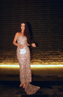 Deema Al Asadi feet photo 18