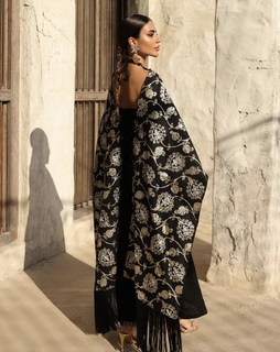 Deema Al Asadi feet photo 2