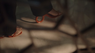 Deema Al Asadi feet photo 16