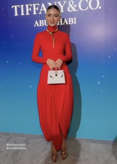 Deema Al Asadi feet photo 12