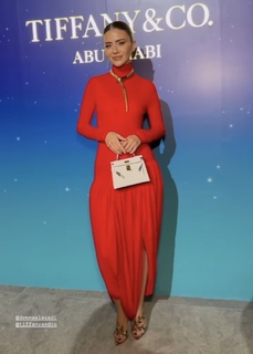 Deema Al Asadi feet photo 11