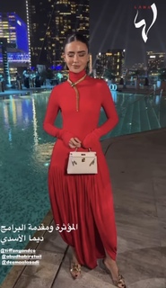 Deema Al Asadi feet photo 10