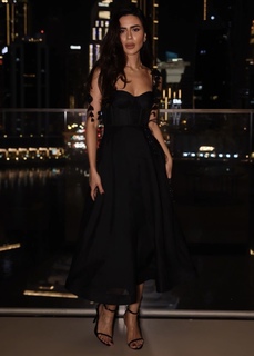 Deema Al Asadi feet photo 20