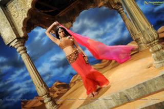 Deepa Sannidhi feet photo 8