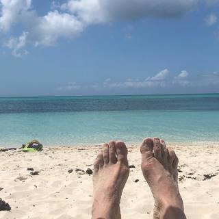 Deirdre Lovejoy feet photo 3