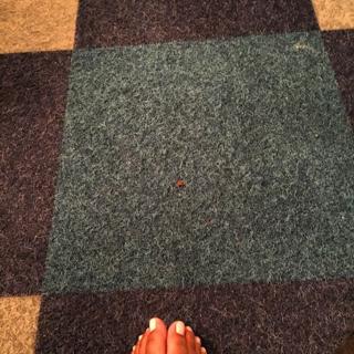 Dej Loaf feet photo 9