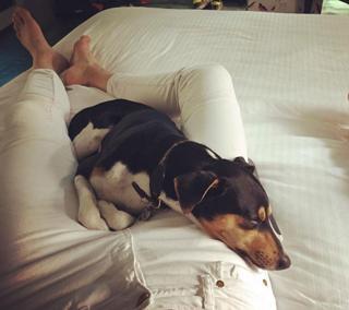 Delfina Blaquier feet photo 14