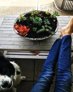Delfina Blaquier feet photo 4