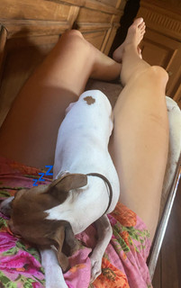 Delfina Blaquier feet photo 20