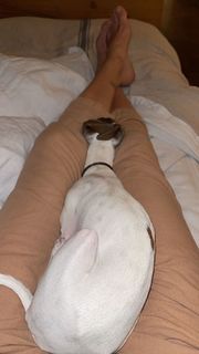 Delfina Blaquier feet photo 18