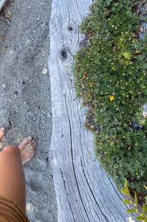 Delfina Blaquier feet photo 4