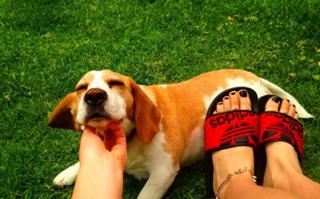 Delfina Chaves feet photo 10