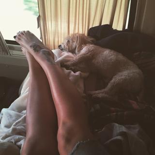 Delia Matache feet photo thumbnail