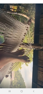 Delia Matache feet photo thumbnail