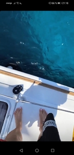 Delia Matache feet photo thumbnail