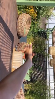 Delia Matache feet photo thumbnail