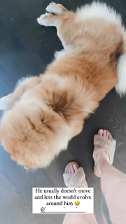 Deligracy feet photo 14
