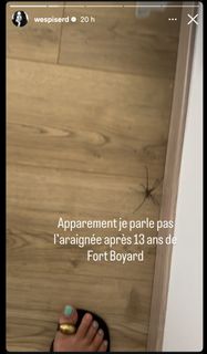 Delphine Wespiser feet photo thumbnail