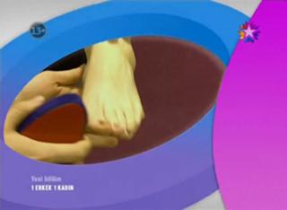 Demet Evgar feet photo thumbnail