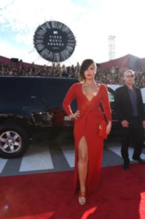 Demi Lovato feet photo thumbnail