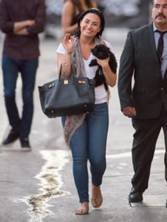 Demi Lovato feet photo thumbnail