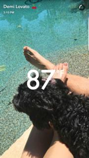 Demi Lovato feet photo thumbnail