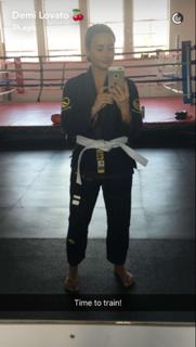 Demi Lovato feet photo thumbnail