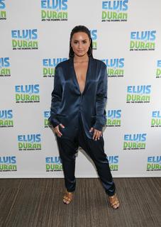 Demi Lovato feet photo thumbnail