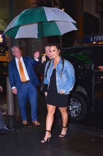 Demi Lovato feet photo thumbnail