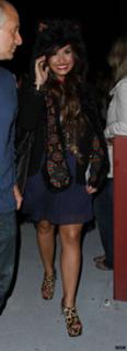 Demi Lovato feet photo thumbnail