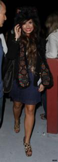 Demi Lovato feet photo thumbnail