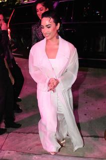 Demi Lovato feet photo thumbnail